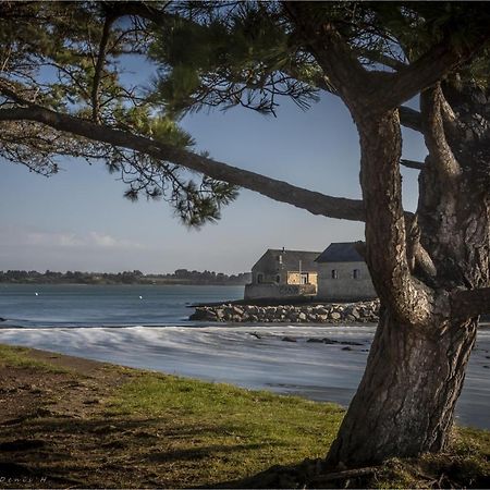 Les Villas De Locmiquel Bord De Mer Baden Eksteriør billede