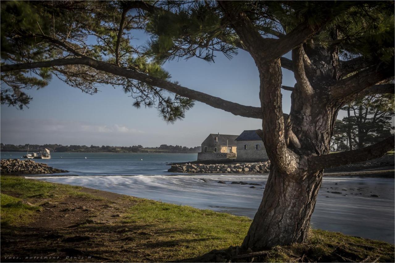Les Villas De Locmiquel Bord De Mer Baden Eksteriør billede